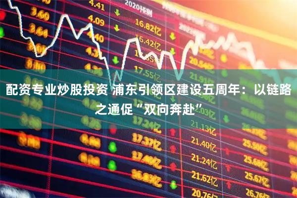 配资专业炒股投资 浦东引领区建设五周年：以链路之通促“双向奔赴”
